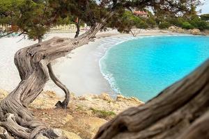 Estate nel meraviglioso Golfo di Orosei