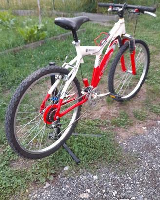 Mtb taglia m