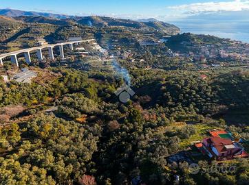 TER. AGRICOLO A COSTARAINERA