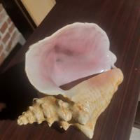 Oggettistica soprammobili