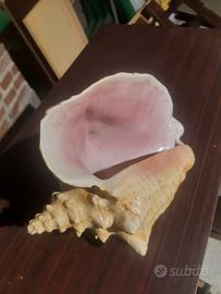 Oggettistica soprammobili