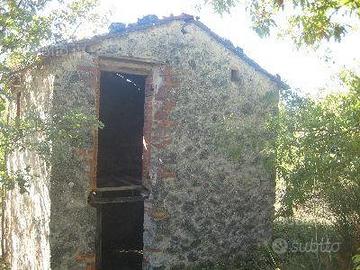 Terreno con annesso agricolo provincia di Siena