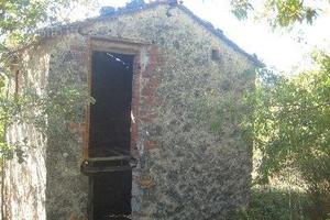 Terreno con annesso agricolo provincia di Siena