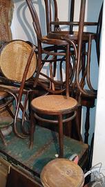 sedie leone buono stato num 6