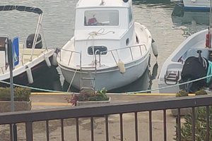 Gozzo in legno funzionante