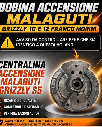 bobina centralina eccensione malaguti grizzly 