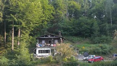 Casa immersa nel bosco Trentino