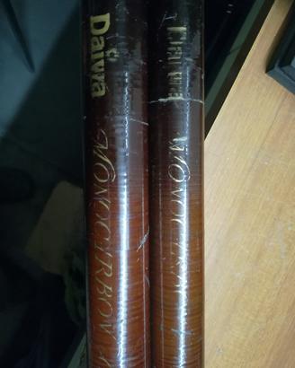 Daiwa Monocarbon G910 - 100