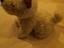 Immagine 2