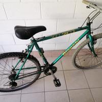 Mountain bike Bianchi 