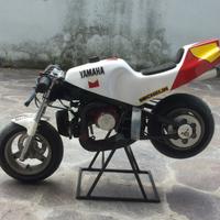 Minimoto ZPF Efco