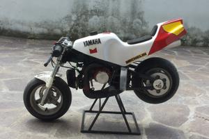Minimoto ZPF Efco