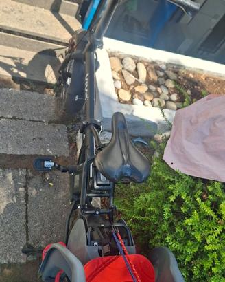 Bici elettrica