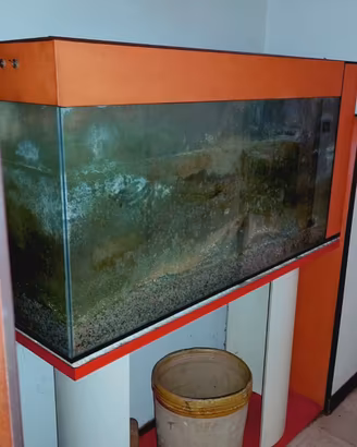 Acquario anno 1979