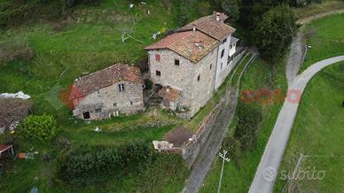 Terratetto Coreglia Antelminelli [UM117MGBVRG]