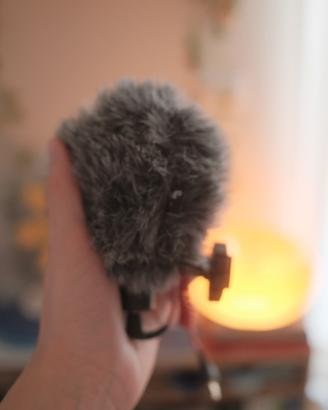 Microfono Professionale Rode Videomicro