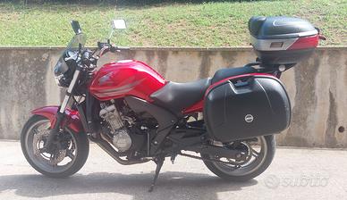 HONDA CBF600N
