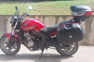 HONDA CBF600N