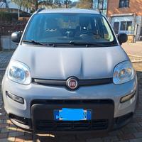 Auto Fiat Panda