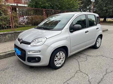 Panda anno 2018