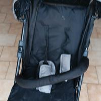 Passeggino beetle 