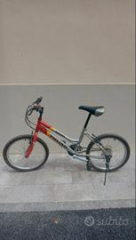 Bici Mountain Bike  MTB  (per ragazzi)
