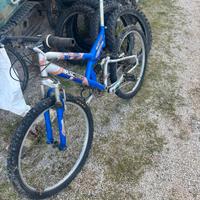Bici  ammortizzata