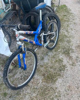 Bici  ammortizzata