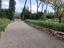 Immagine 18