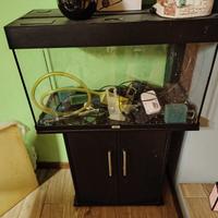 Acquario juwel con mobile