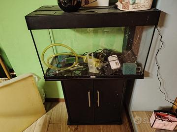 Acquario juwel con mobile