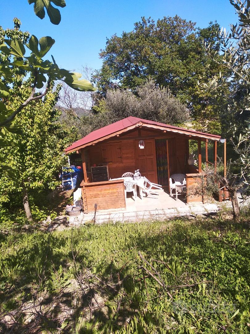 Terreno con ulivi e rimessaggio - Vista 4