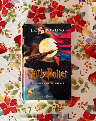 Libro “Harry potter e la pietra filosofale”