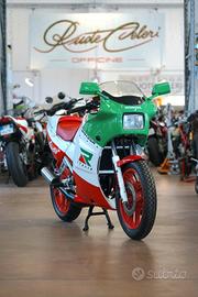 Honda NS 125 "Adriatico" 1987