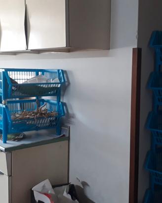 Mobili da cucina in formica