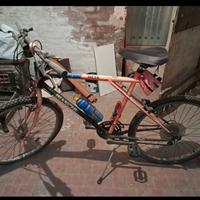 Mountainbike Bianchi