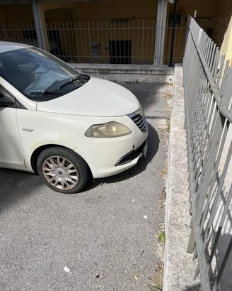 Lancia y