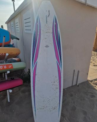 tavola surf