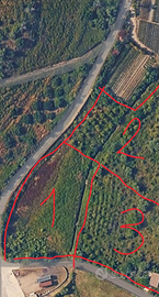 Terreno agricolo a Terme Vigliatore