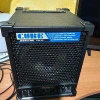 amplificatore Cube Monitor CM-30 marca Roland