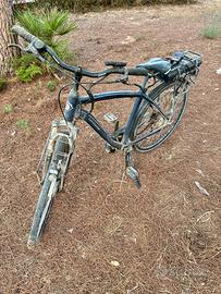 Bici elettrica a pedalata assistita