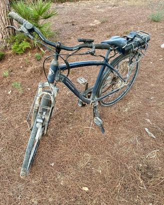 Bici elettrica a pedalata assistita