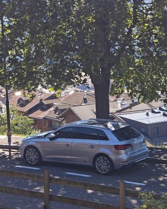 Audi A3 8v