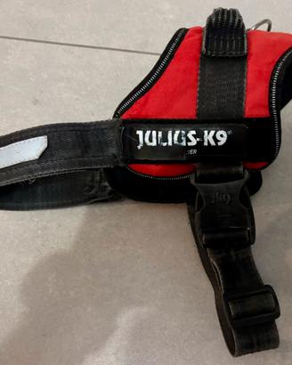 Pettorina JK9 tg.M