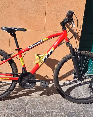 MTB Alpina per bimbo 6-12 anni