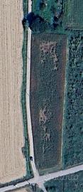 Terreno agricolo
