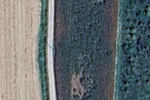 Terreno agricolo