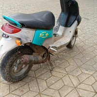 Peugeot squab 50
