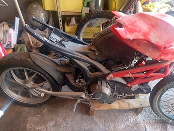 ducati Monster 1100 