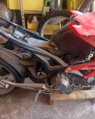 ducati Monster 1100 